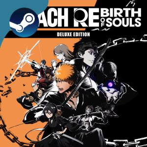 Bleach: Rebirth of Soul 🎮